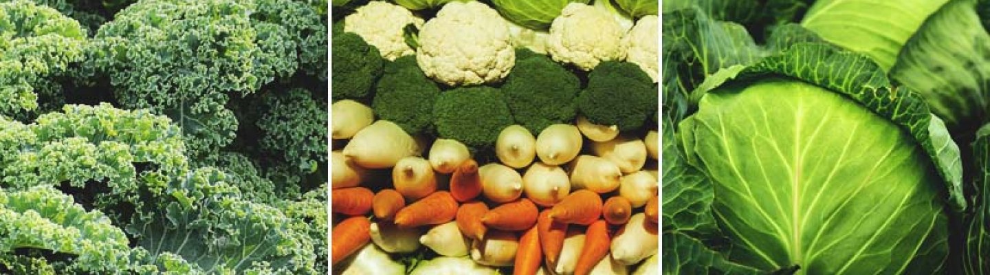 5 εύκολα για καλλιέργεια φθινοπωρινά λαχανικά